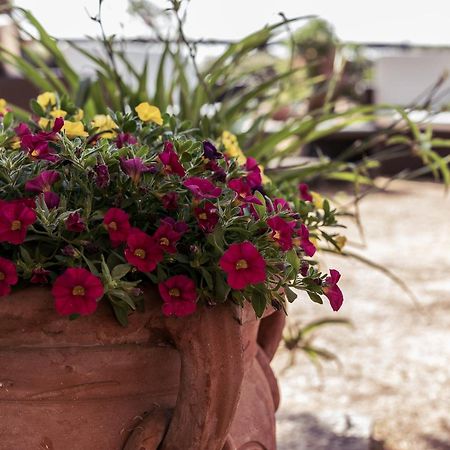 B&B Al Vecchio Forno Montepulciano Stazione Buitenkant foto